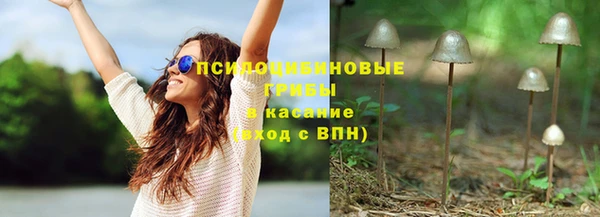 Альфа ПВП Алзамай