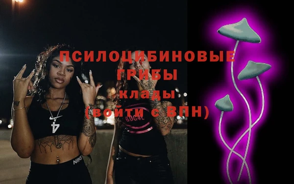 гидра Алексеевка