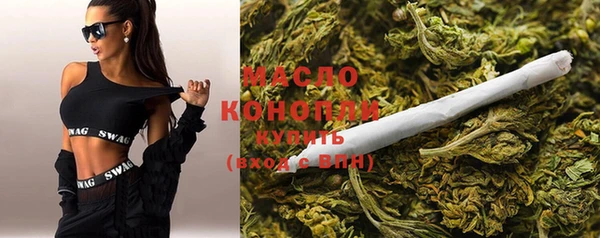индика Абдулино