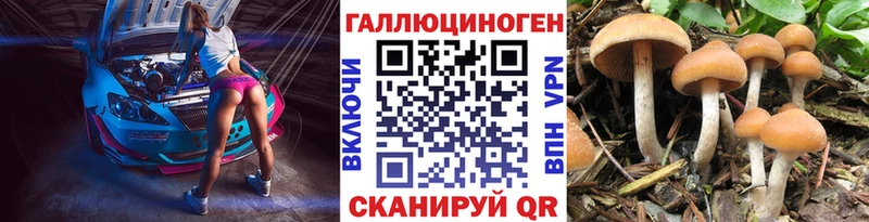 Псилоцибиновые грибы MAGIC MUSHROOMS  Сольвычегодск 